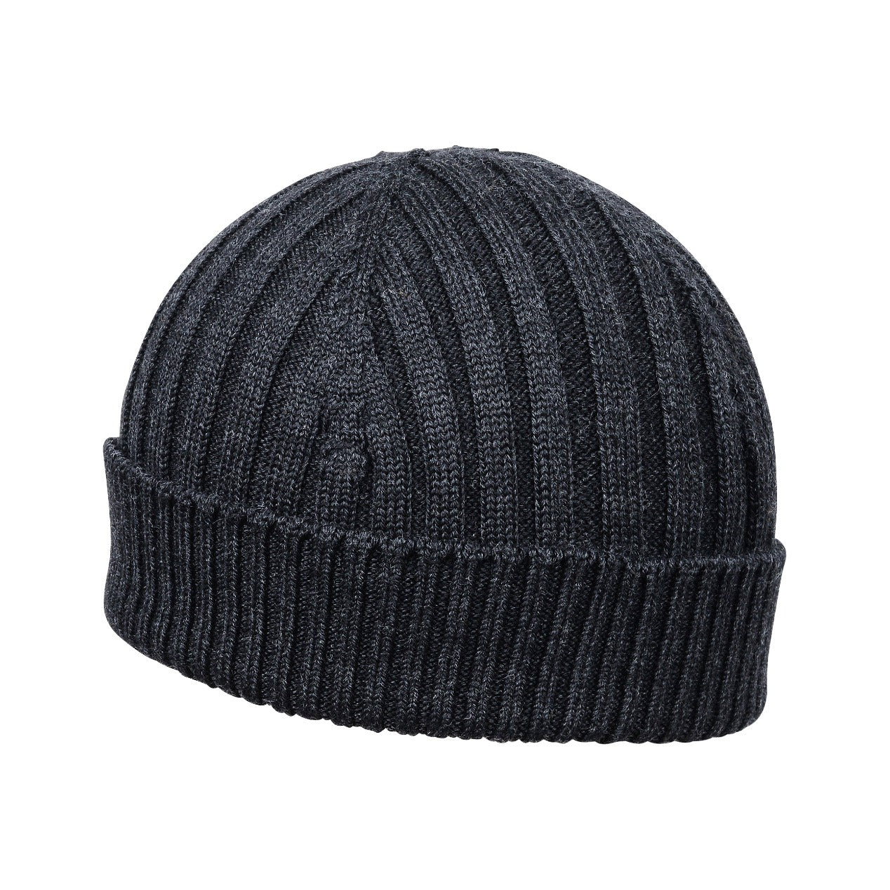 Willson Rib Beanie