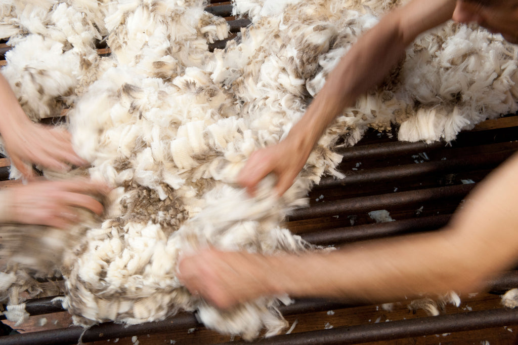 Sustainable Wool